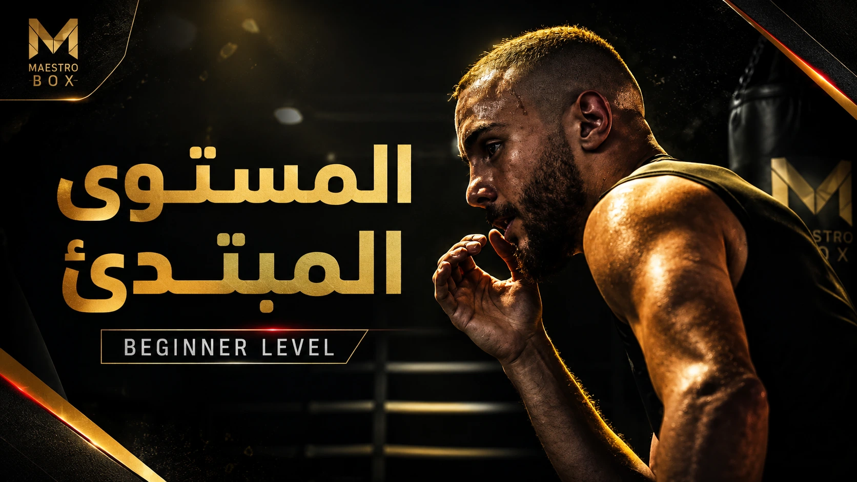 أساسيات الملاكمة للمبتدئين